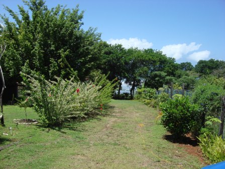 Titled Santa Catalina Land